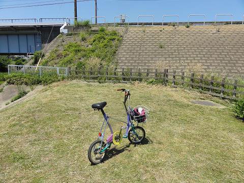 ワンタッチピクニカ 花見川サイクリングロード: 自転車通勤どんこう2